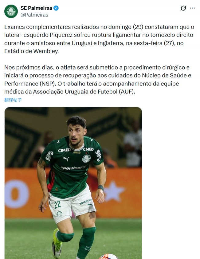 PG电子网站-战英格兰受伤,帕尔梅拉斯官方:乌拉圭后卫皮克雷斯脚踝韧带撕裂